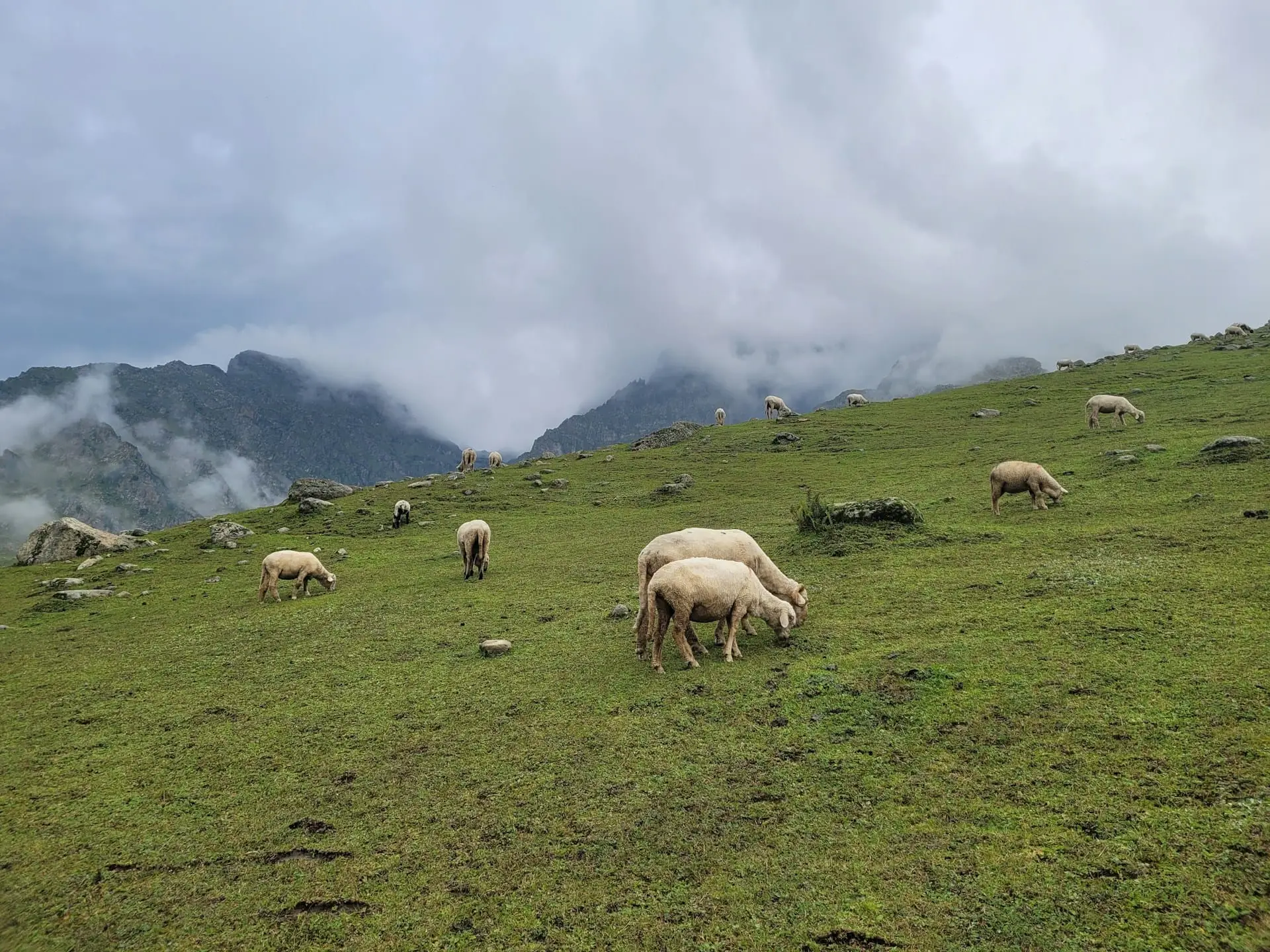 Bodpathri Trek